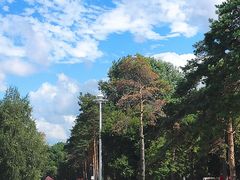 -黑龙江省森林植物园