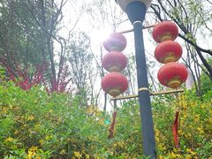 -大望京公园