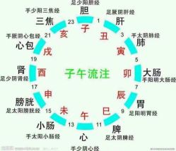 -Oasis Beauty水磨坊科技美肤中心