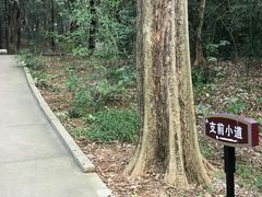 -淮海战役纪念馆