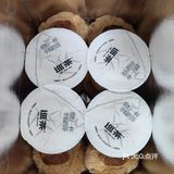 奶呼呼的卡皮巴拉