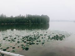 -东湖落雁景区