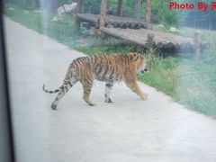 -西安秦岭野生动物园