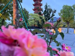 -龙华寺