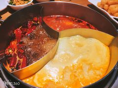 -青瓷火锅料理(西单大悦城店)