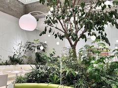 -大树餐厅(红旗街万达店)