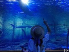 -厦门海底世界