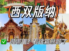 -西双版纳原始森林公园