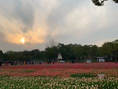 -大宁灵石公园西门票处