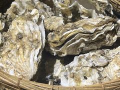 -蚝堡海鲜·威海菜·海肠捞饭·烧烤·亚洲吃蚝公司(幸福门店)