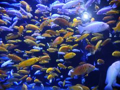 -成都浩海立方海洋公园