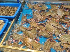 -半岛听涛蒸汽海鲜自助(K11店)