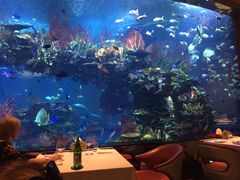 -迪拜帆船酒店海底餐厅