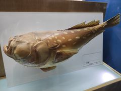 -青岛海底世界-水族馆
