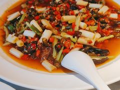-天辣(金桥啦啦宝都店)