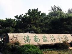 -济南森林公园