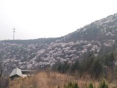 -妙峰山风景名胜区