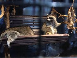 -酷嗒动物文化乐园(cutezoo西溪乐天城店)