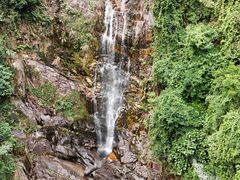 -鼎湖山风景区