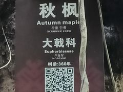 -七仙岭温泉国家森林公园