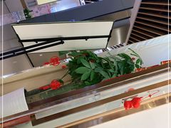 -蘭亭·新都汇