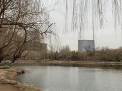 -青城公园