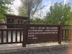-北京麋鹿生态实验中心