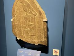 -舒蔡记生煎菜饭(云南中路店)