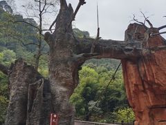 -赤水丹霞旅游区·大瀑布