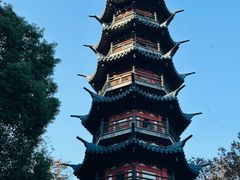 -上海佘山国家森林公园西佘山园