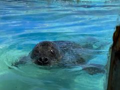 -太平洋海底世界