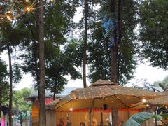 -二荆条·蜀鲜汇城市森林火锅