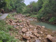 -广州白江湖森林公园