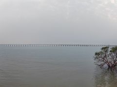 -宝安西湾红树林湿地公园