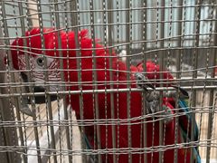 -南宫五洲植物乐园