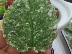 -王家土菜馆(霍山县店)