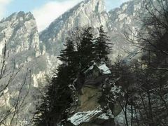 -青峰峡国家森林公园