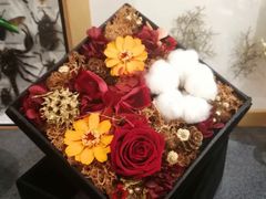 -植物学家的女儿(北马道巷店)