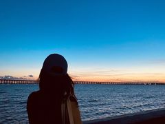 -宝安西湾红树林湿地公园