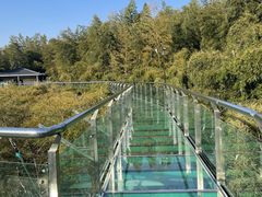 -陶祖圣境风景区