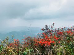 -幽优农庄·森波拉特色本地农家菜