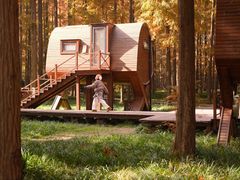 -黄海国家森林公园