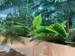 -吕氏疙瘩汤·海鲜新鲁菜(凯德mall新都心店)