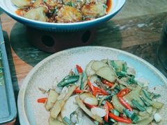 -树厨贵州菜(花果园购物中心店)