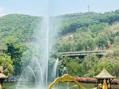 -西双版纳原始森林公园