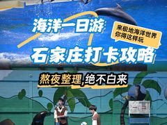 -石家庄极地海洋世界