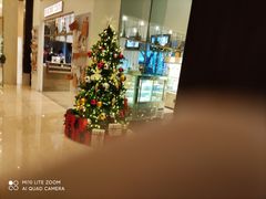 -香乐园·淮扬菜中餐厅·Shang Garden(福田香格里拉店)
