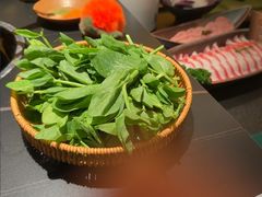 -季季山·云南野生菌火锅(上海首店)