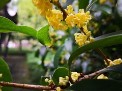 -白塘生态植物园