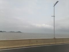 -观澳平台